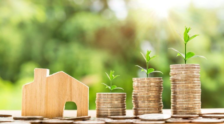 Stock Market Investment