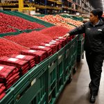 Inflation watch: Wholesale prices rose 0.2% in December, less than expected